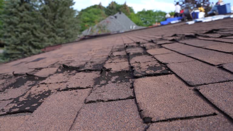 Roof Insulation in South Gate, CA
